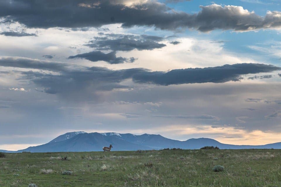 21087 I-25, Rye in Rye, Colorado - photo 15