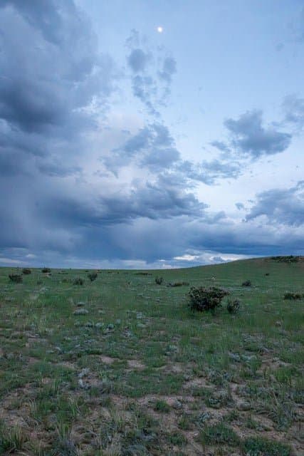 21087 I-25, Rye in Rye, Colorado - photo 21