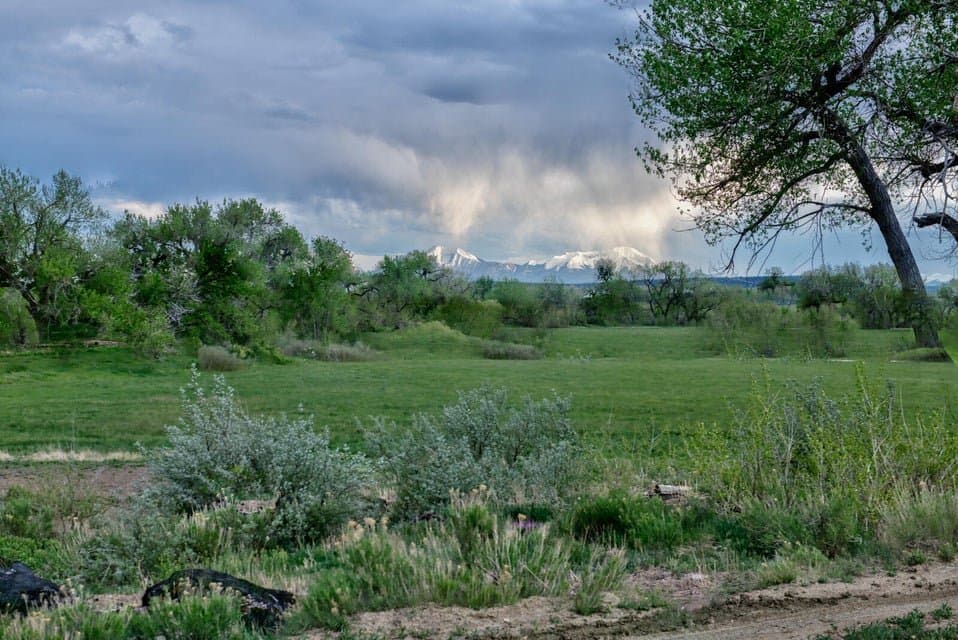 21087 I-25, Rye in Rye, Colorado - photo 26