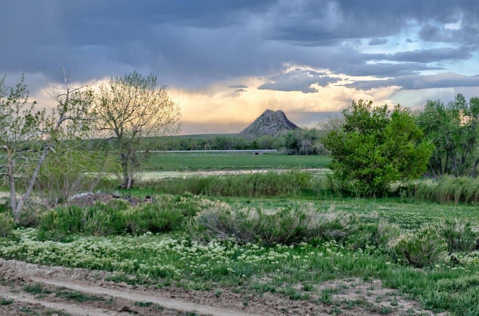 21087 I-25, Rye in Rye, Colorado - photo 35