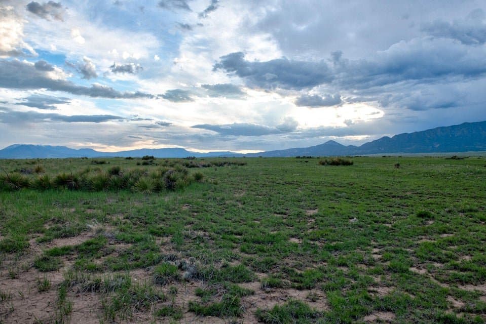 21087 I-25, Rye in Rye, Colorado - photo 29