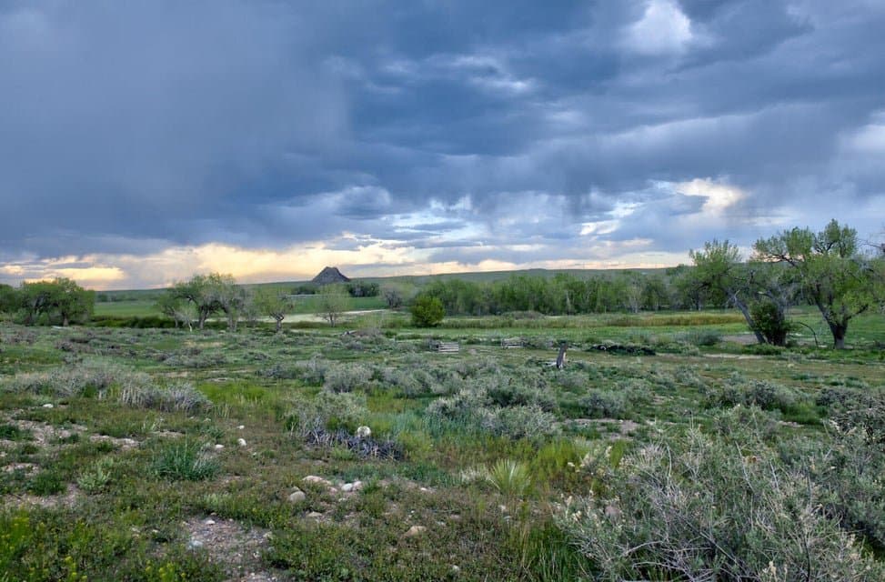 21087 I-25, Rye in Rye, Colorado - photo 42
