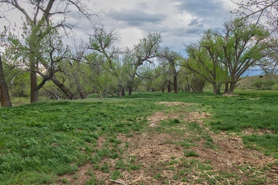 21087 I-25, Rye in Rye, Colorado - photo 39