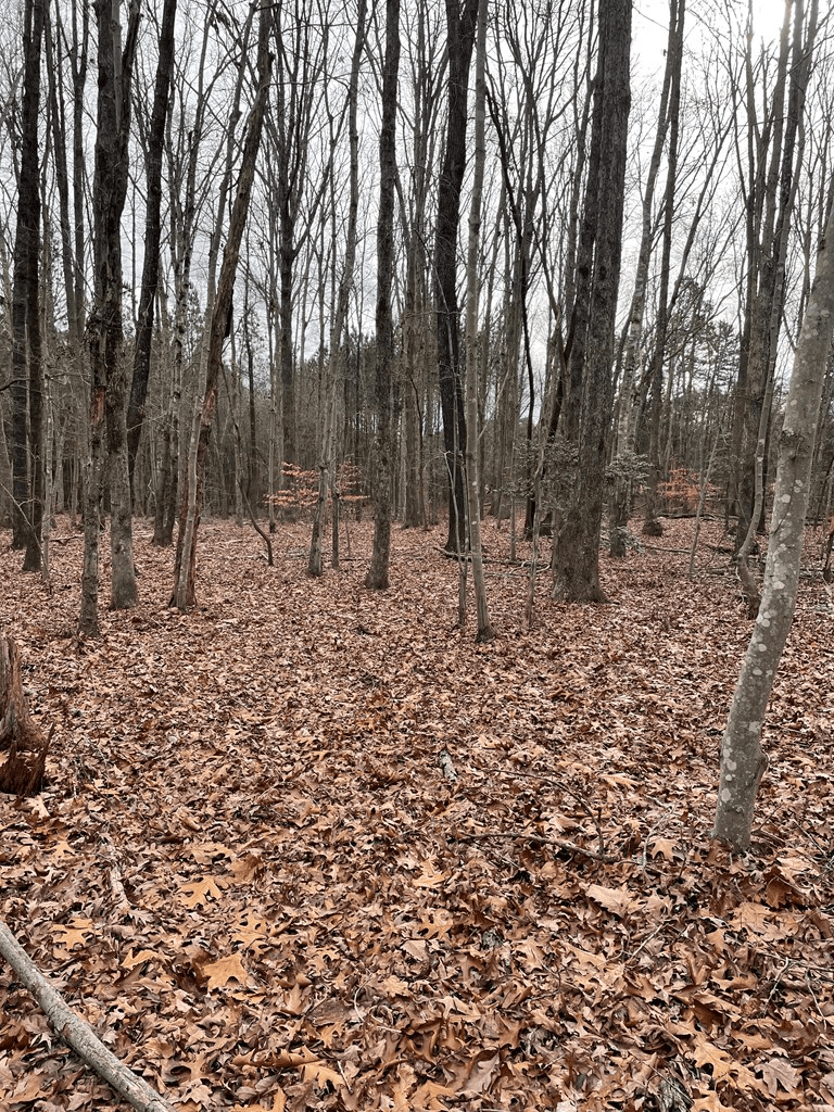 Lot 8 Eagle's Rest Drive