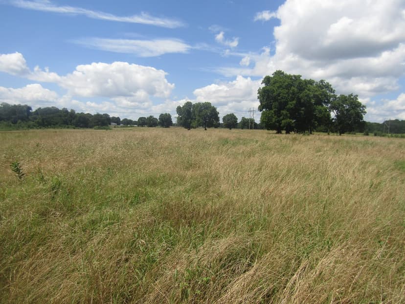 Building Lot Near Hugo Lake Sawyer Choctaw County, OK 7.82 AC