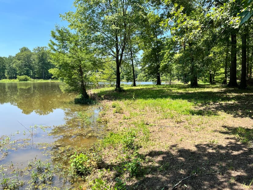 Beautiful adjacent waterfront lots in Two Rivers community of Greene County,