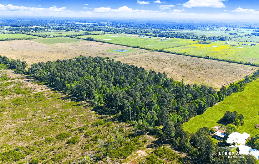 DAYTON Tract 13 | 11+ Acres | Only $15K Down