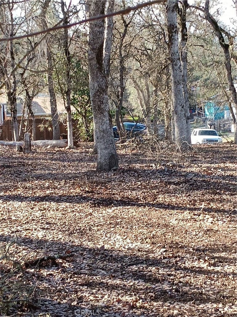 Lots & Land-Other in Clearlake