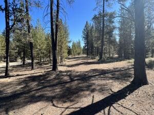 1 Gracies Road, Gilchrist, OR, 97737