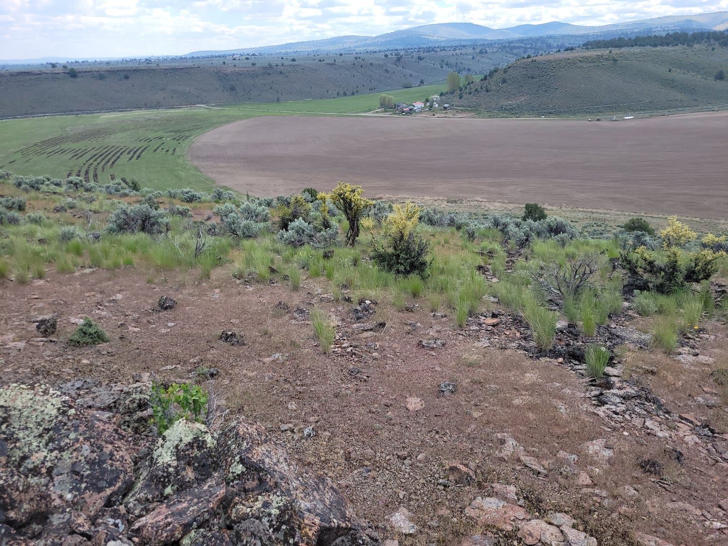Productive Farm with strong water and multiple houses minutes from town in Burns, Oregon - photo 21