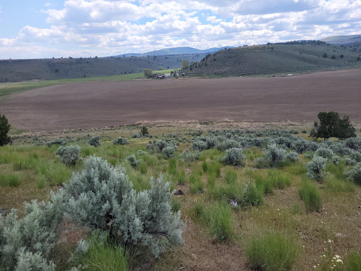 Productive Farm with strong water and multiple houses minutes from town in Burns, Oregon - photo 18