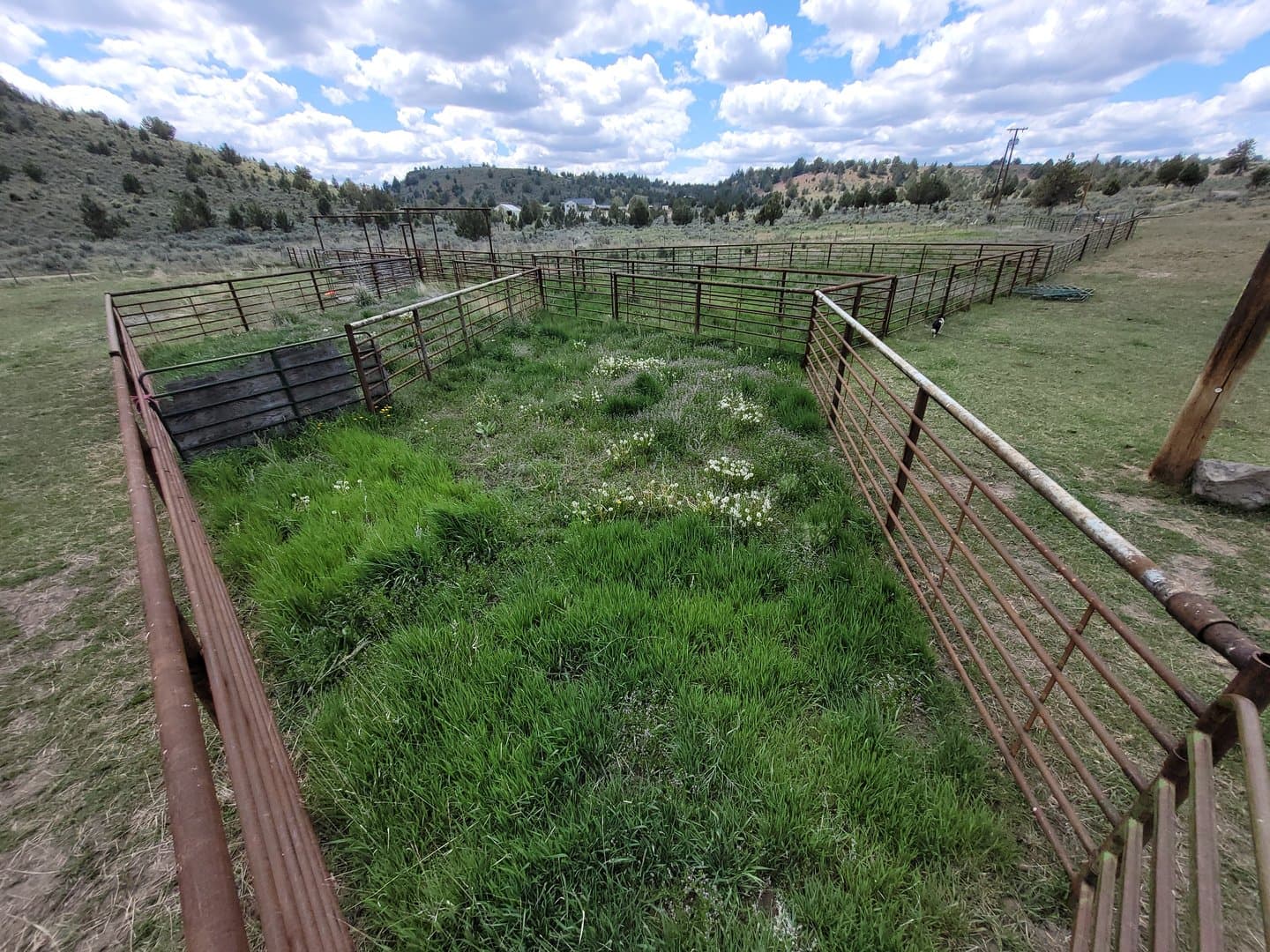 Productive Farm with strong water and multiple houses minutes from town in Burns, Oregon - photo 9