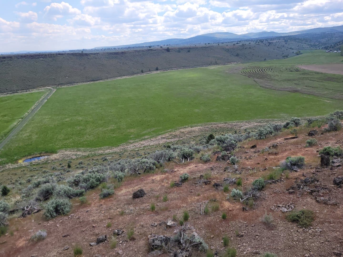 Productive Farm with strong water and multiple houses minutes from town in Burns, Oregon - photo 22