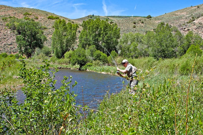 Brown Trout Ranch