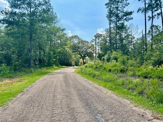 1.28 Acres | Summit, MS