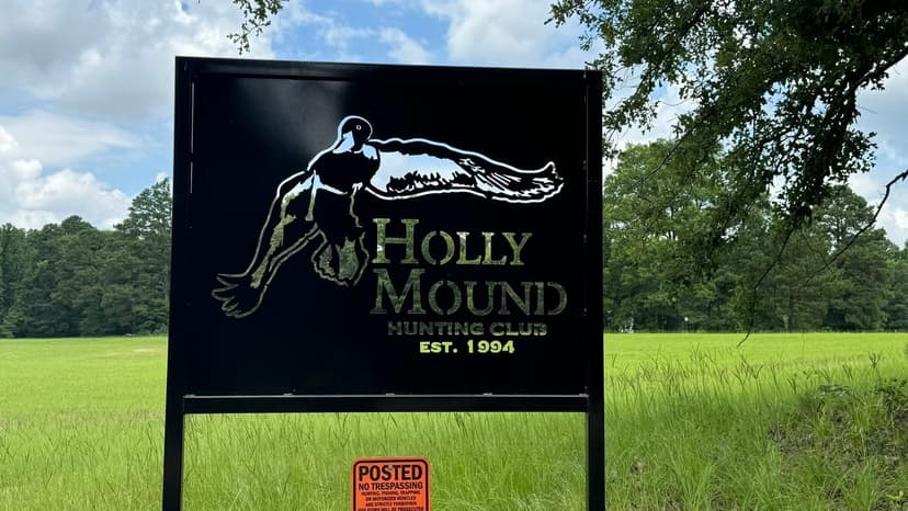 Holly Mound Green Timber Duck Hunting, Lafayette County, AR