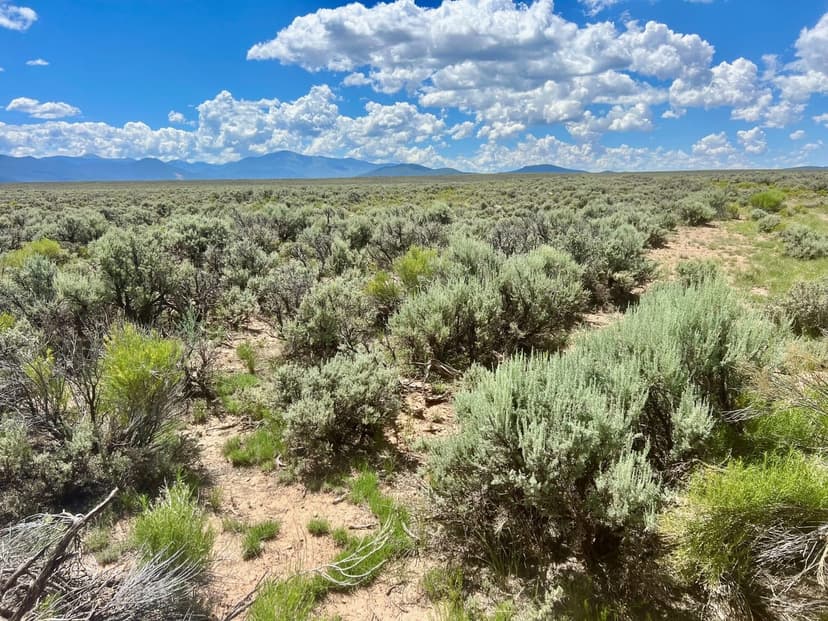 Sunshine Valley 120 Ac Taos County