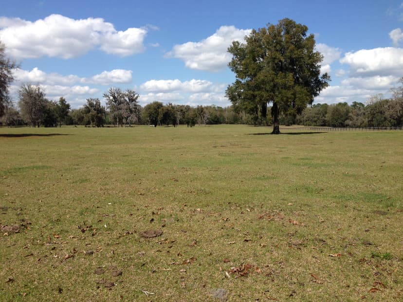 28+ Acres - Close to World Equestrian Center