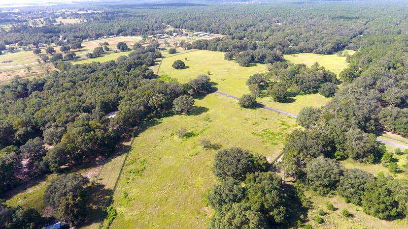 Estates at Cotton Plant