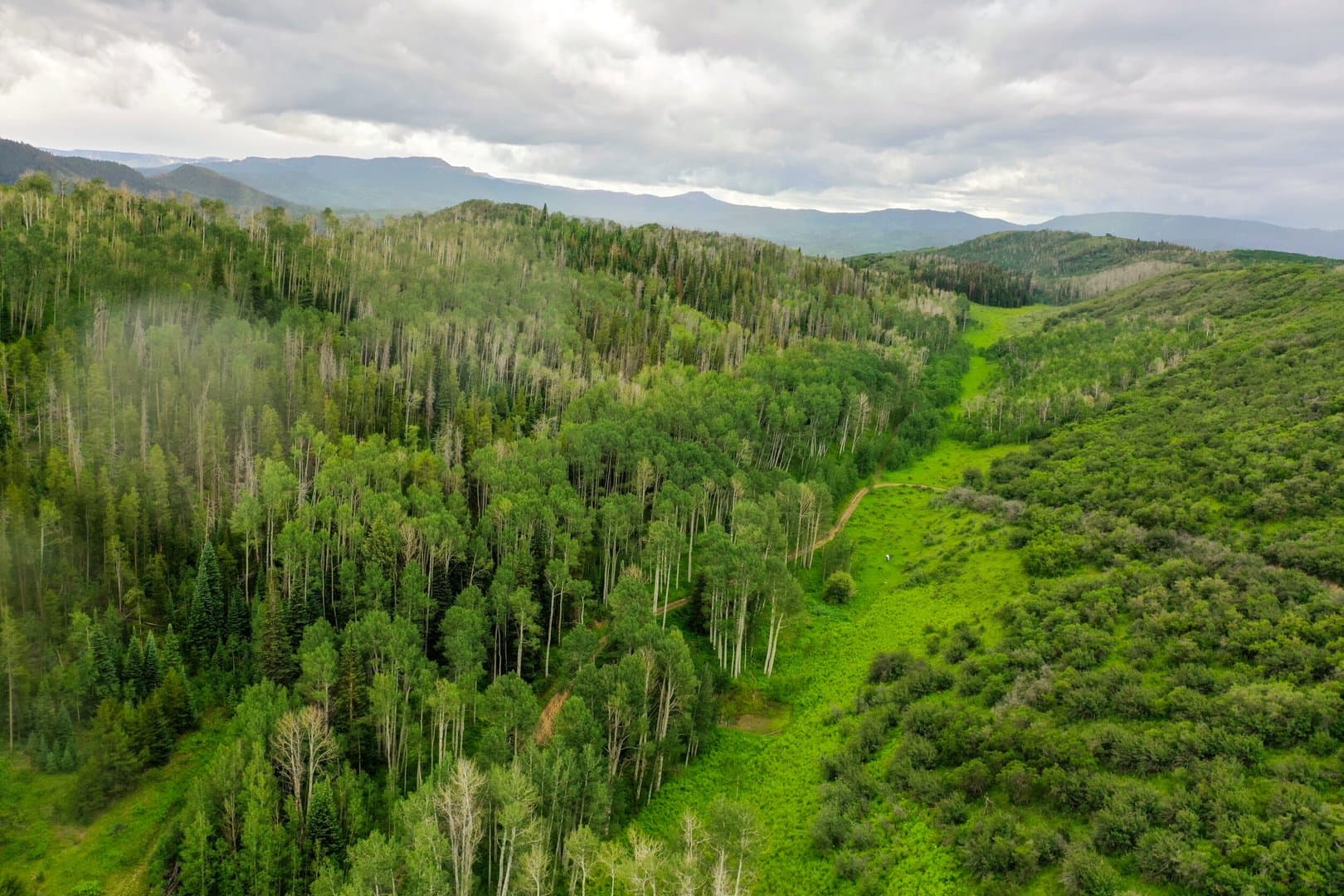 Oak Creek Cabin in Oak Creek, Colorado - photo 3
