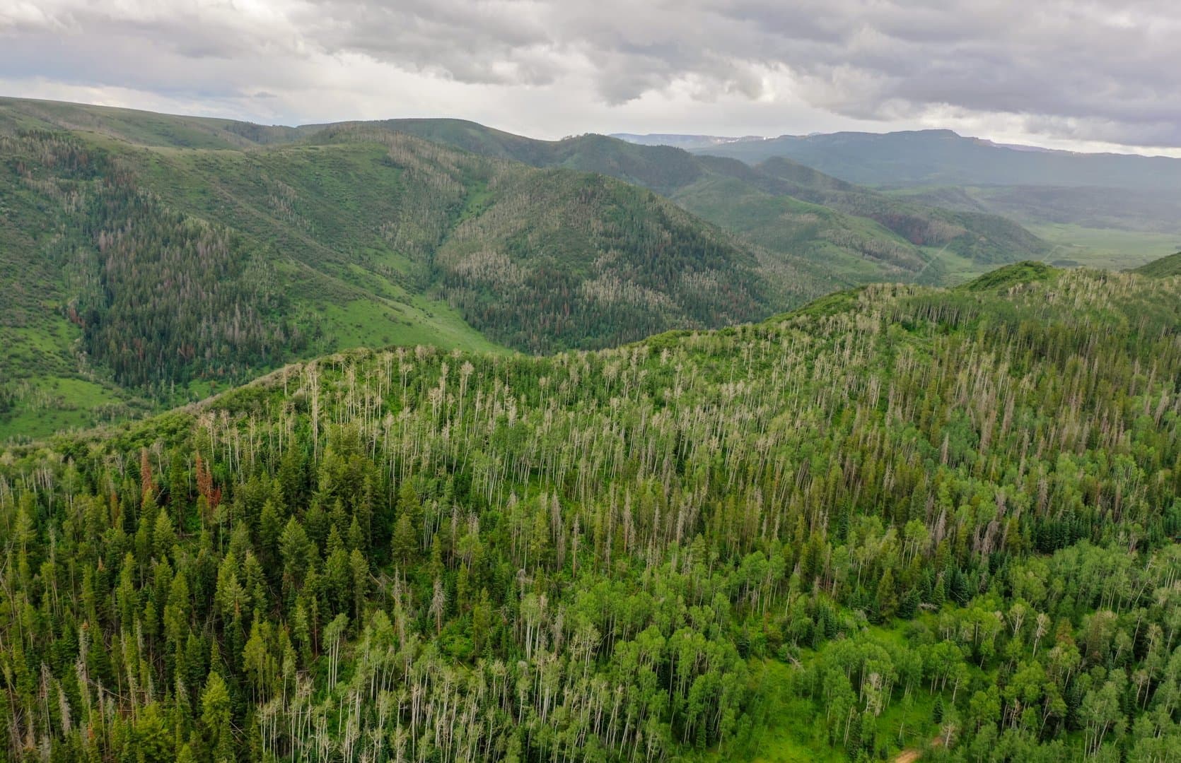 Oak Creek Cabin in Oak Creek, Colorado - photo 4