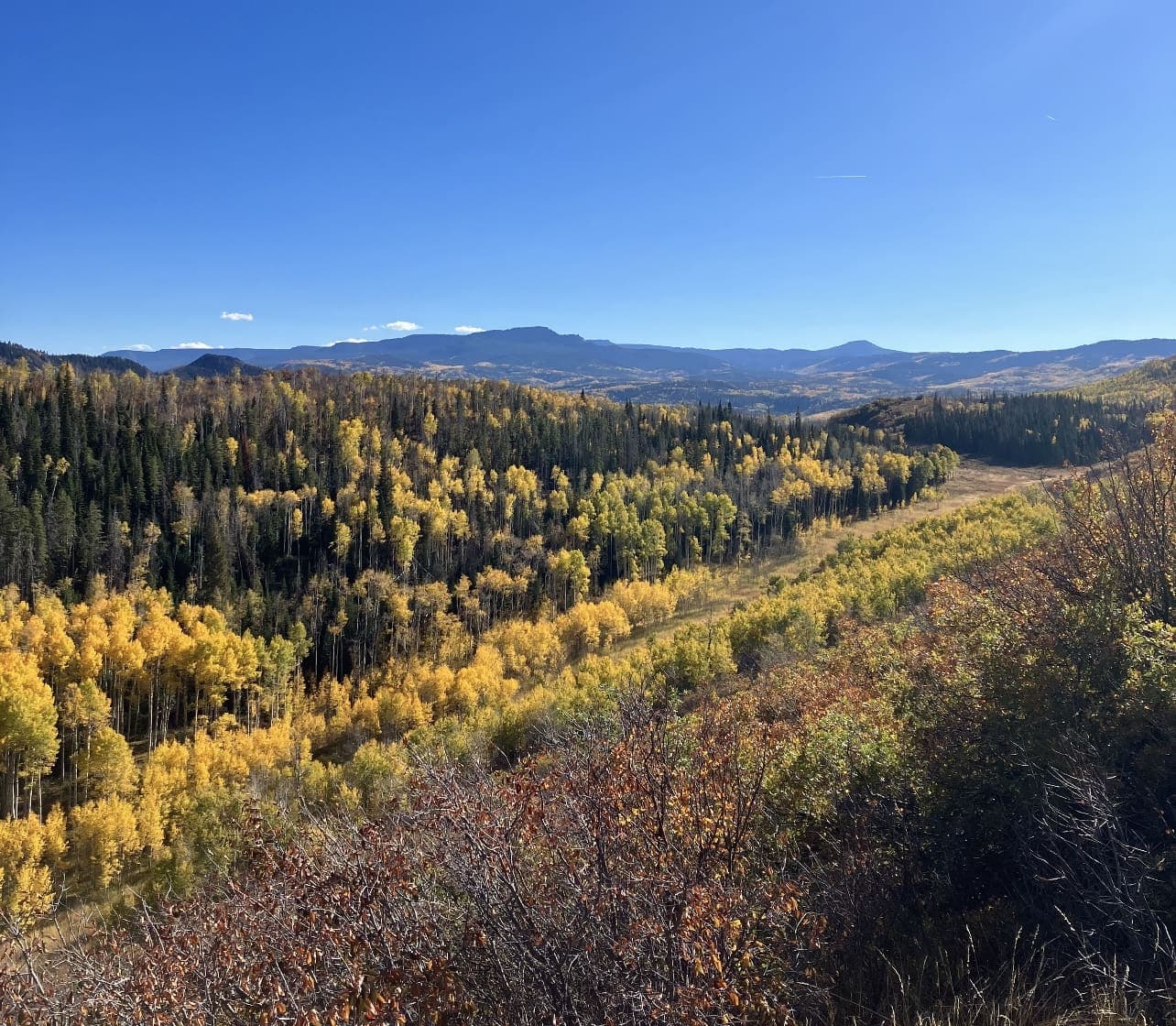 Oak Creek Cabin in Oak Creek, Colorado - photo 6