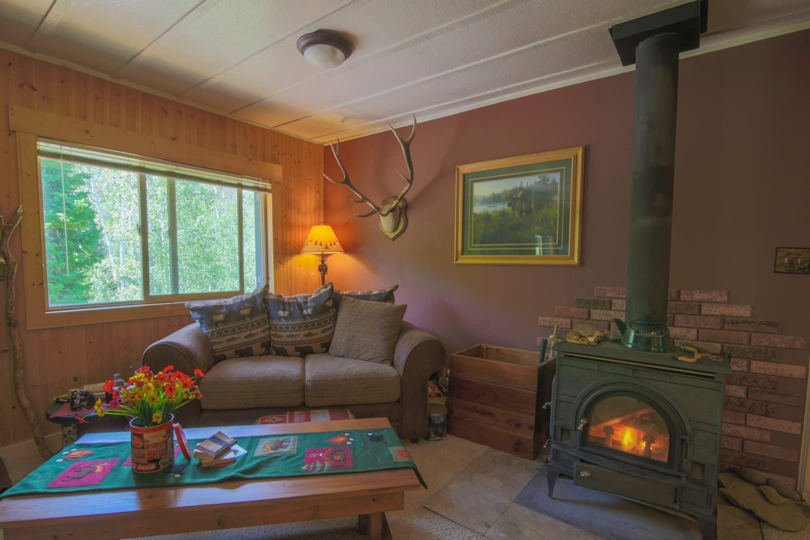 Oak Creek Cabin in Oak Creek, Colorado - photo 9