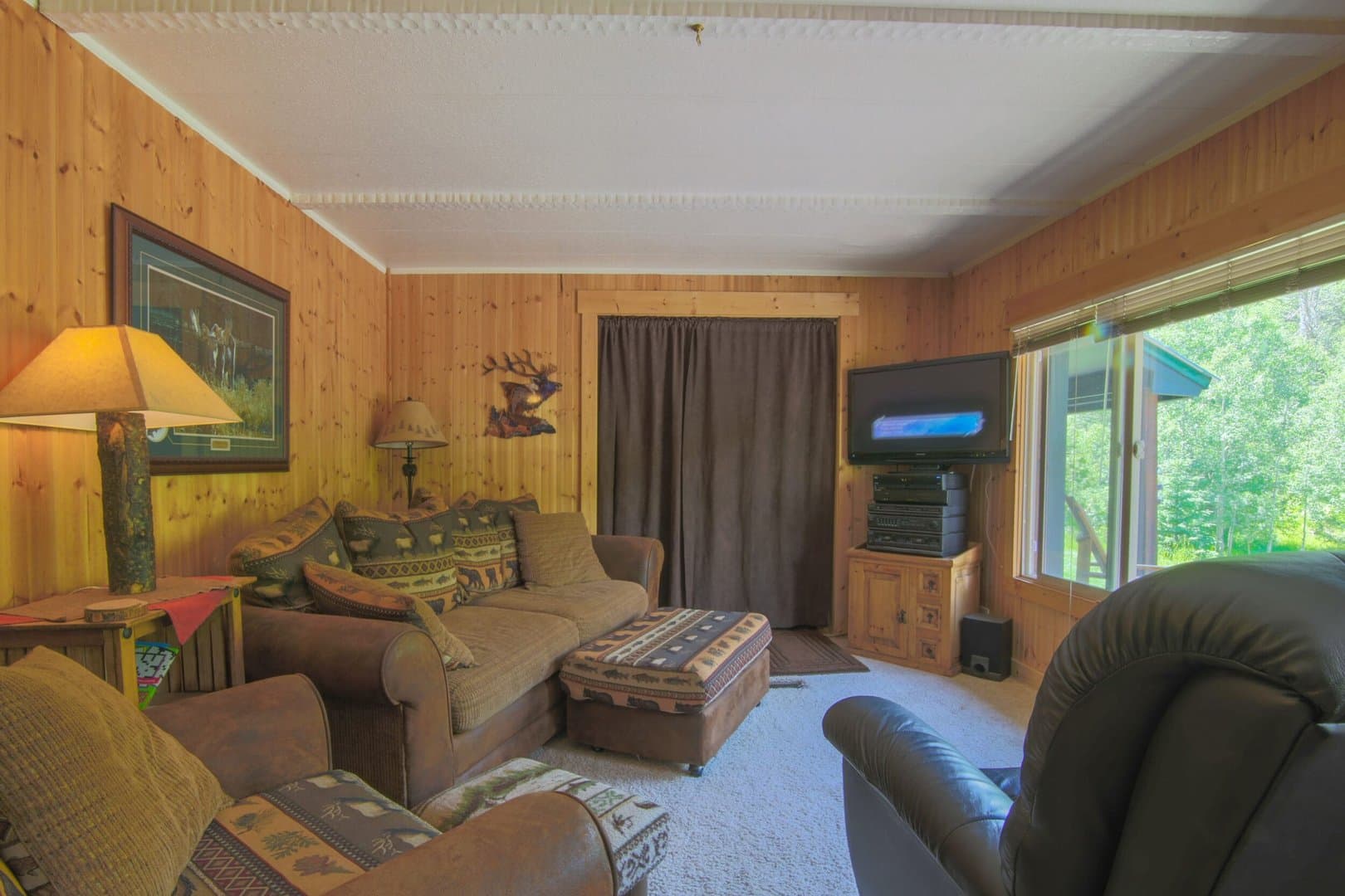 Oak Creek Cabin in Oak Creek, Colorado - photo 10