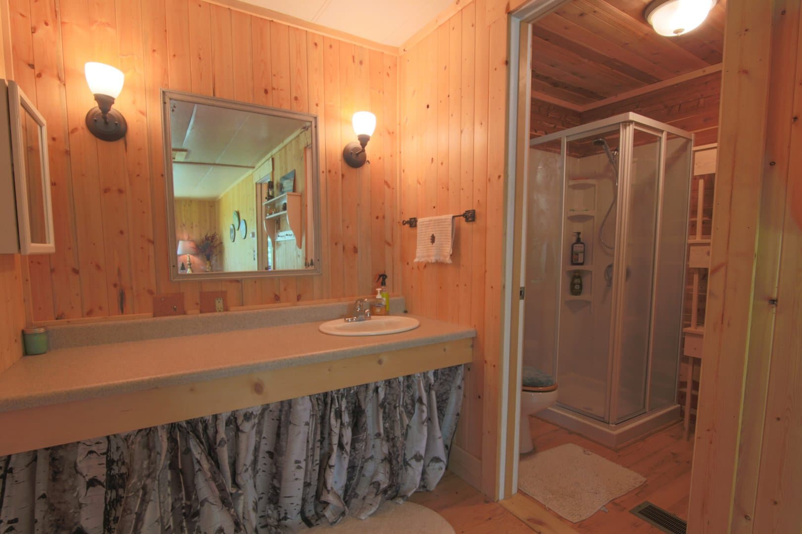 Oak Creek Cabin in Oak Creek, Colorado - photo 21