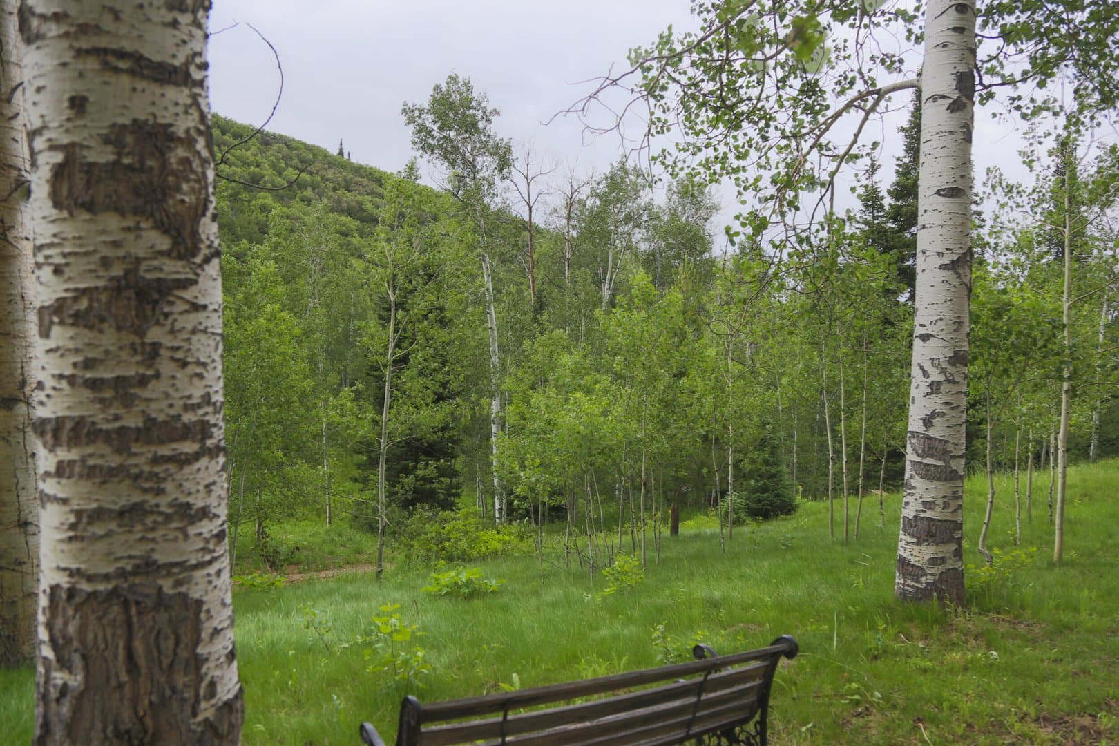 Oak Creek Cabin in Oak Creek, Colorado - photo 26