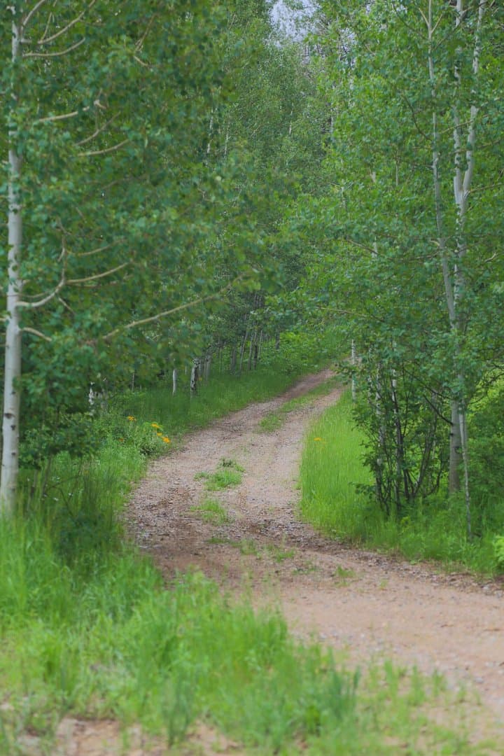 Oak Creek Cabin in Oak Creek, Colorado - photo 27