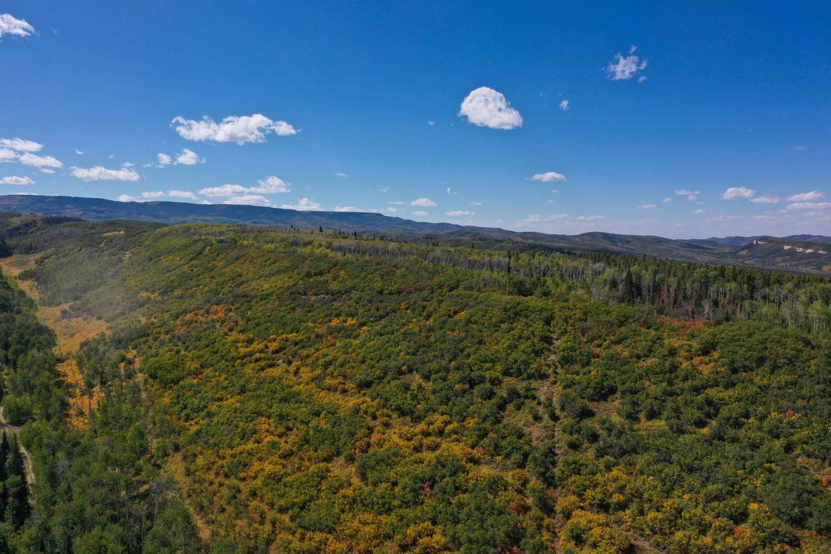 Oak Creek Cabin in Oak Creek, Colorado - photo 37