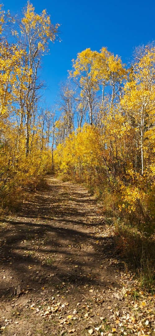 Oak Creek Cabin in Oak Creek, Colorado - photo 41