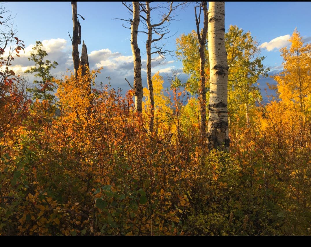 Oak Creek Cabin in Oak Creek, Colorado - photo 42