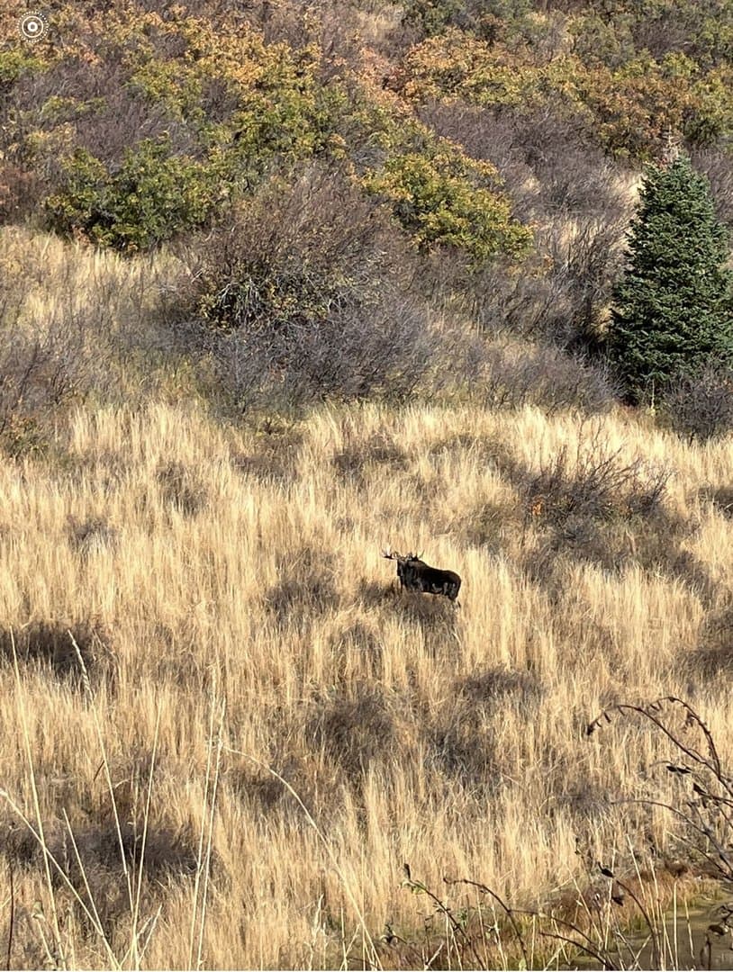 Oak Creek Cabin in Oak Creek, Colorado - photo 44