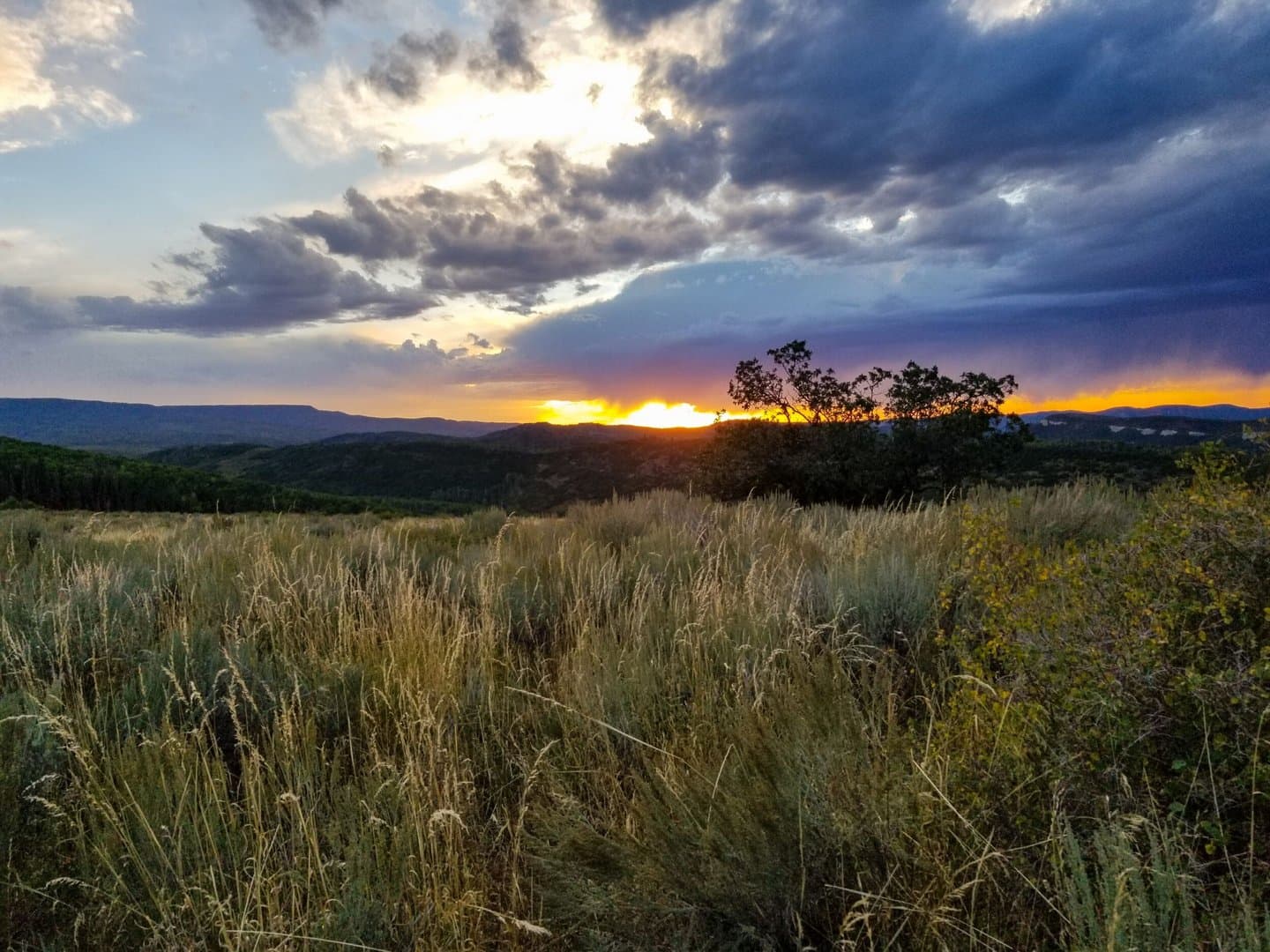 Oak Creek Cabin in Oak Creek, Colorado - photo 47