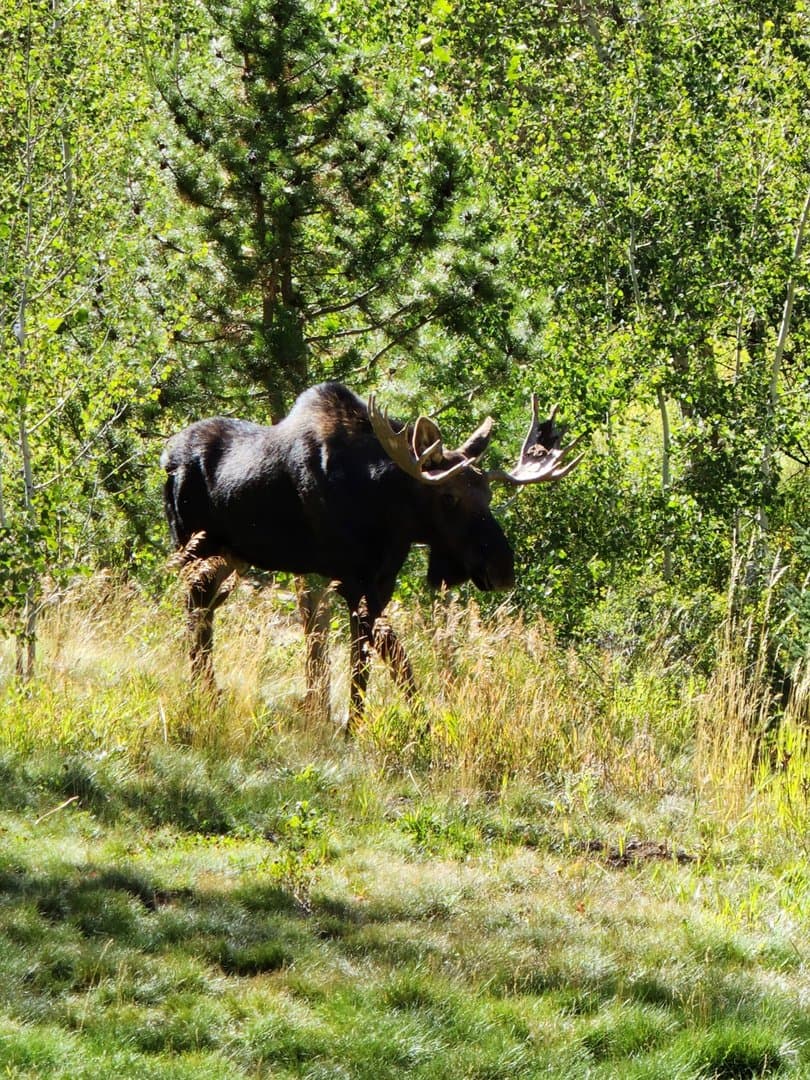 Oak Creek Cabin in Oak Creek, Colorado - photo 50