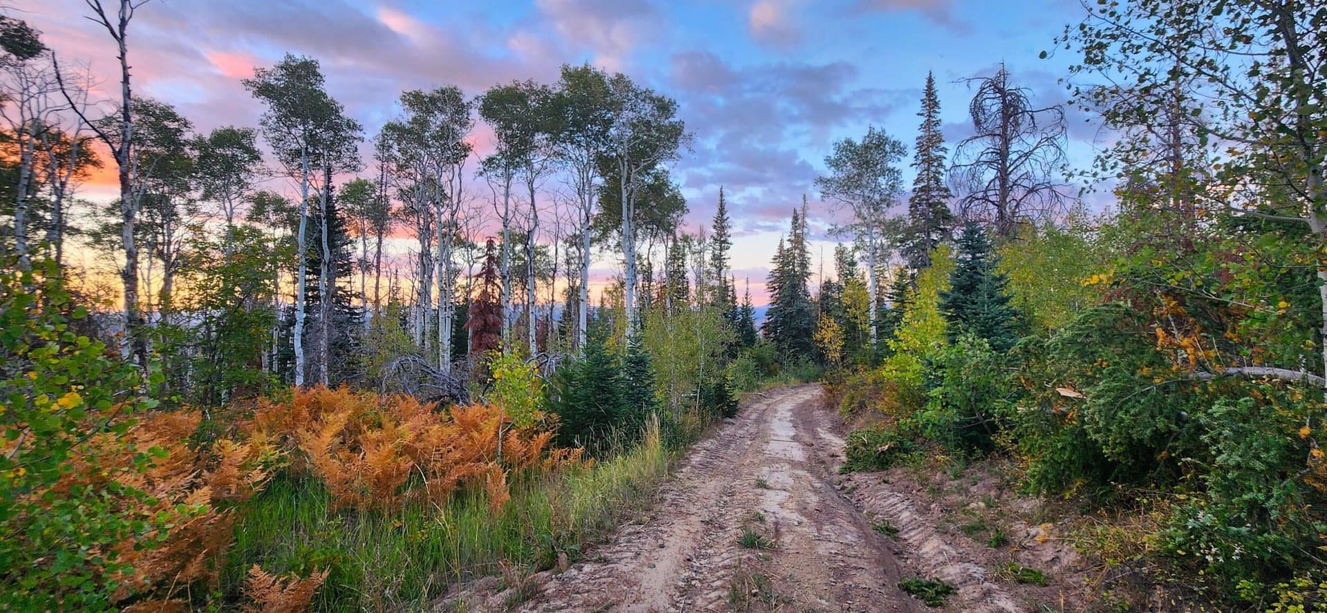 Oak Creek Cabin in Oak Creek, Colorado - photo 51