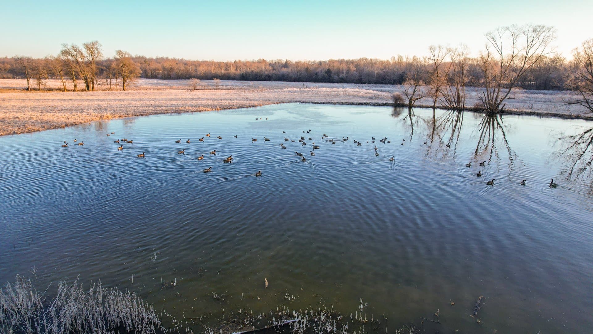 Hay Valley Ranch - land for sale