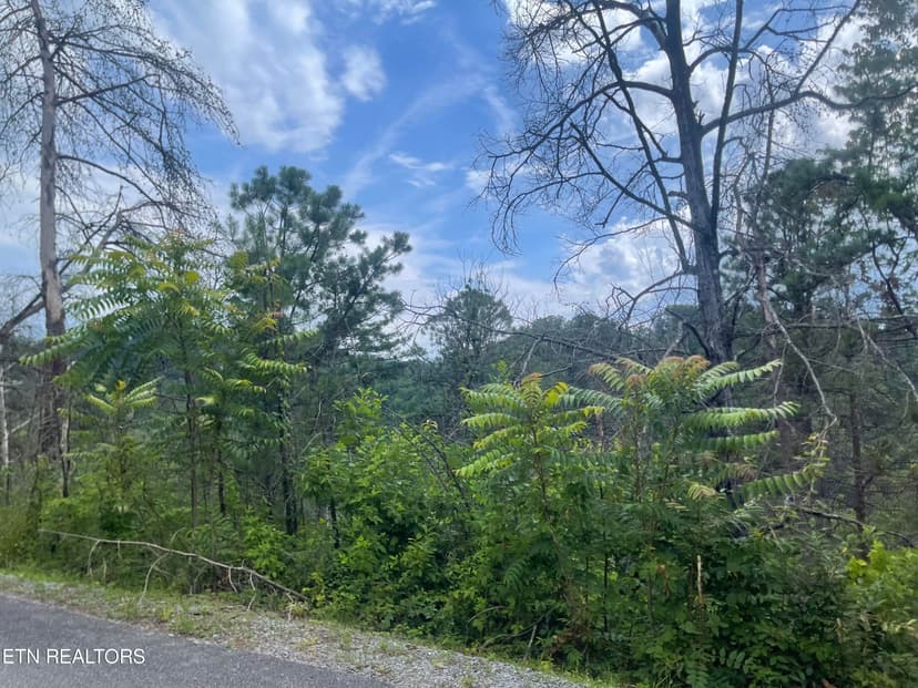 River Birch Way, Sevierville, TN, 37862