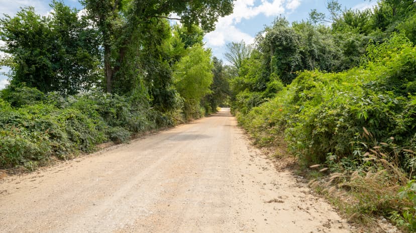 60 Acres in Milam County