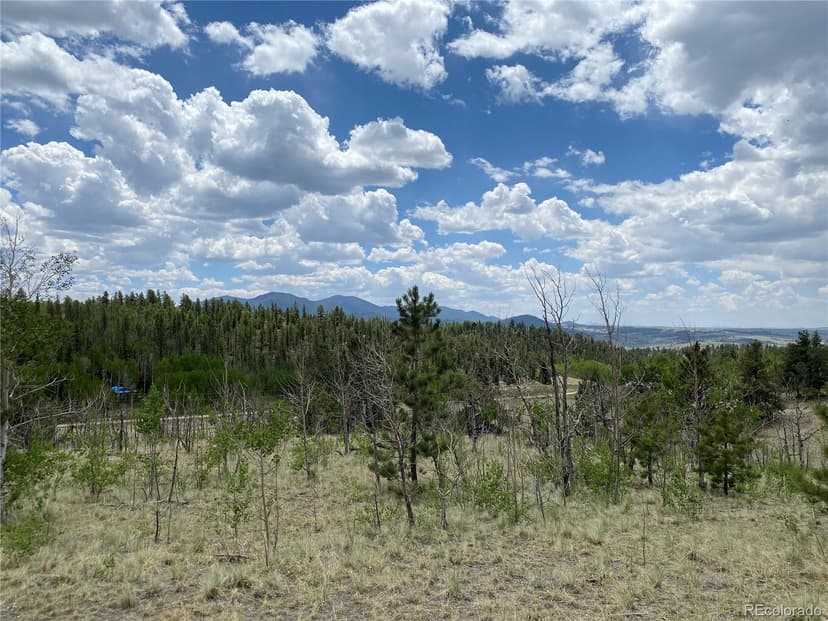 TBD Al Gulch Road, Jefferson, CO 80456