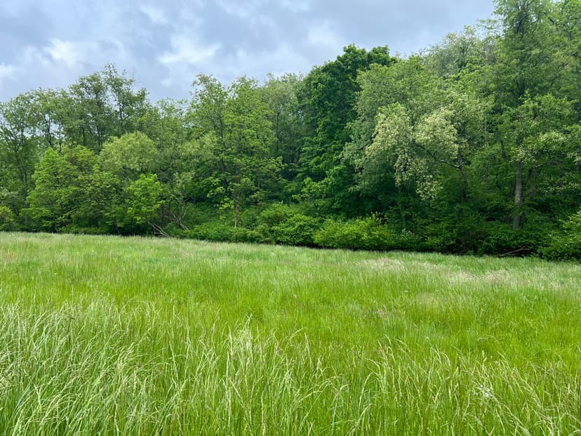 000 White Cloud Road