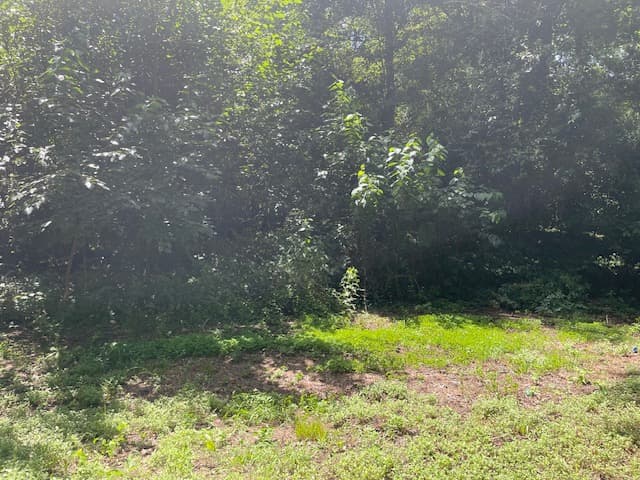 2.3 Acres | Summit, MS