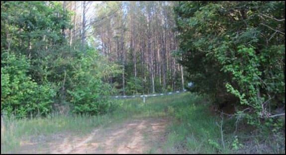 131.3 Acres in Union County in Hickory Flat, MS
