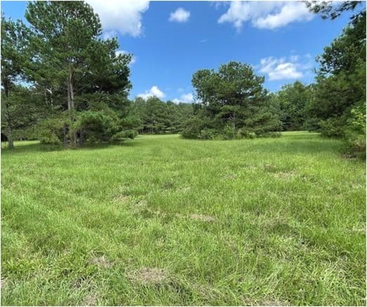 35.5 Acres in Neshoba County in Union, MS