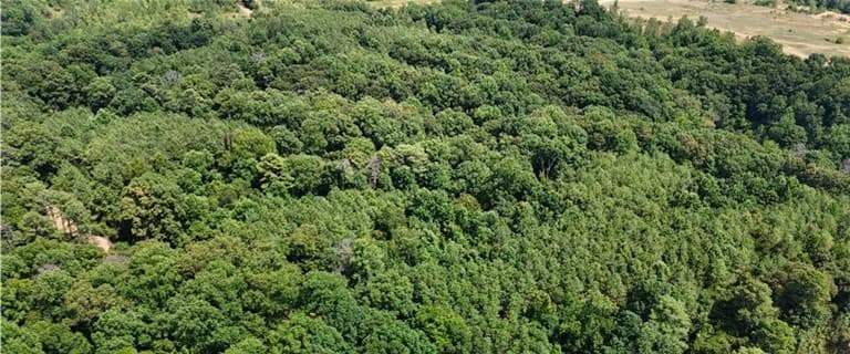 39.8 Acres in Carroll County in Greenwood, MS