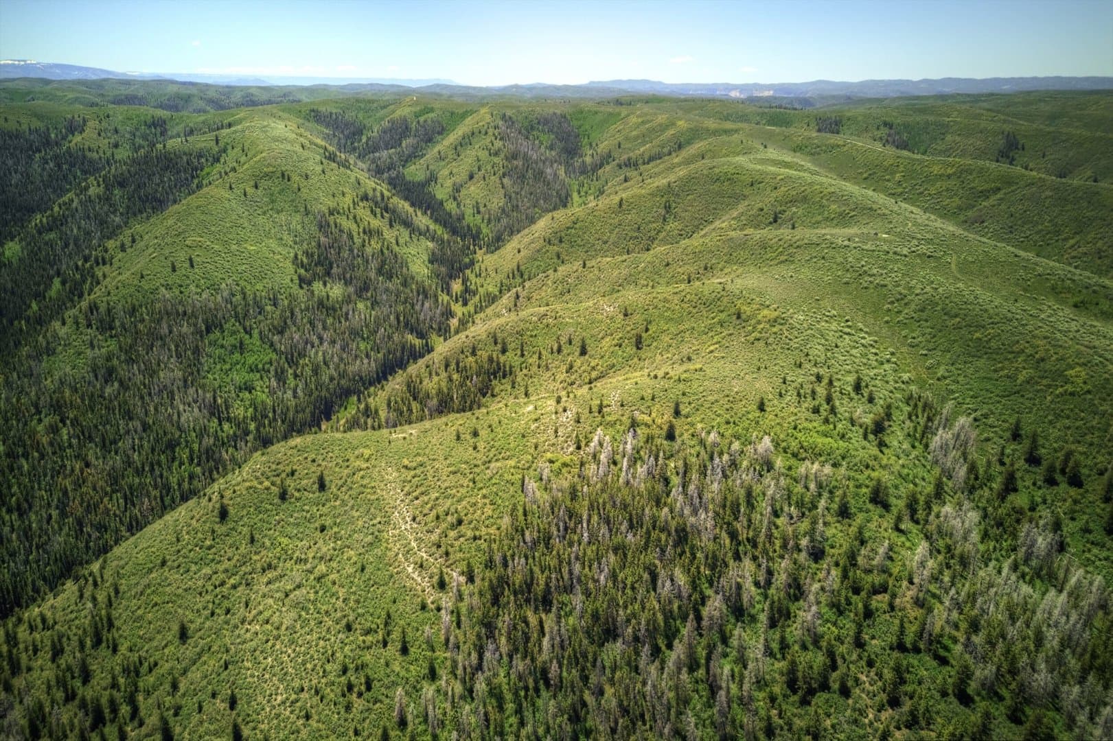 Cow Creek Ranch - Rifle, Colorado, 81650
