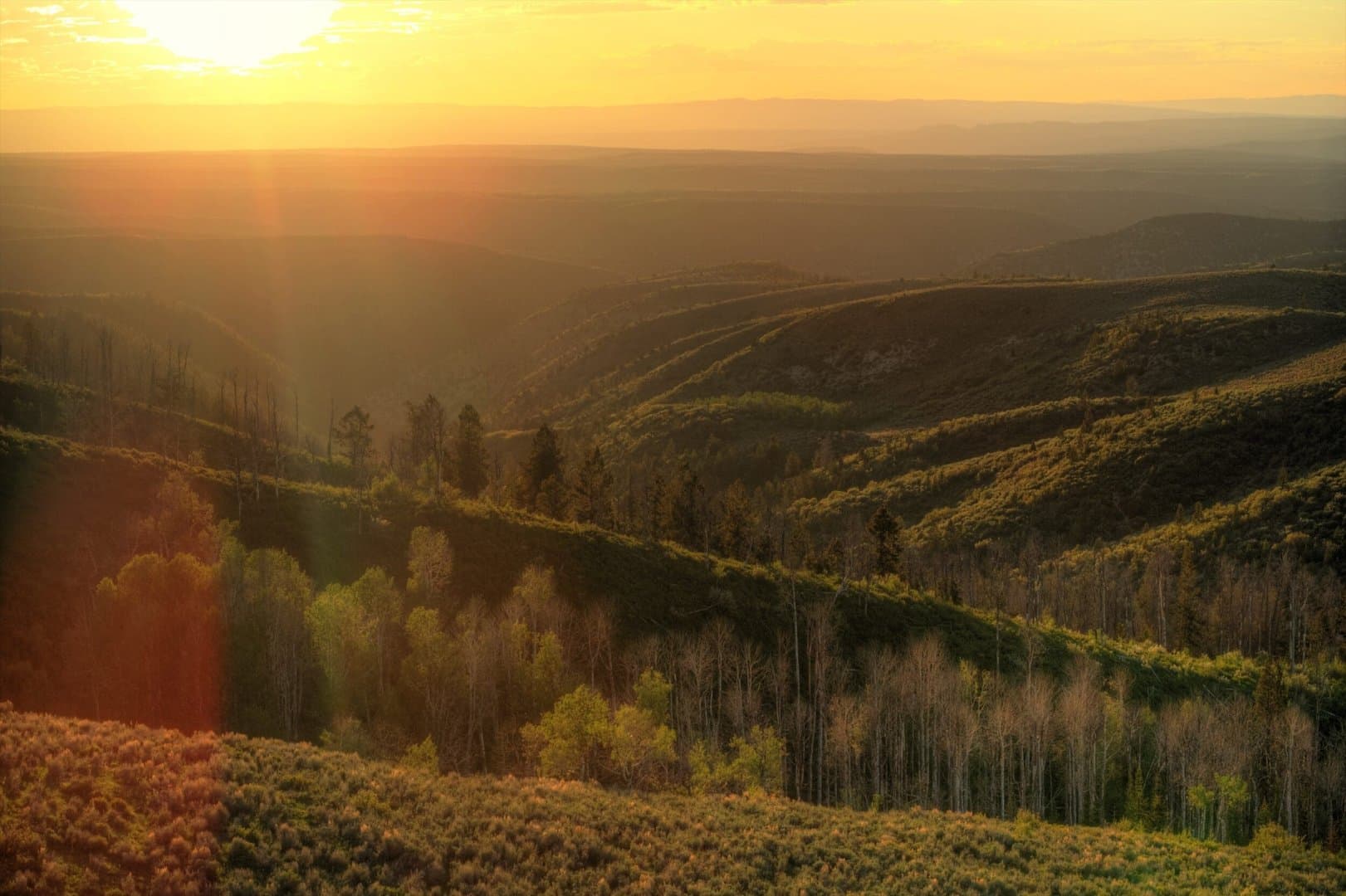 Cow Creek Ranch in Rifle, Colorado - photo 2