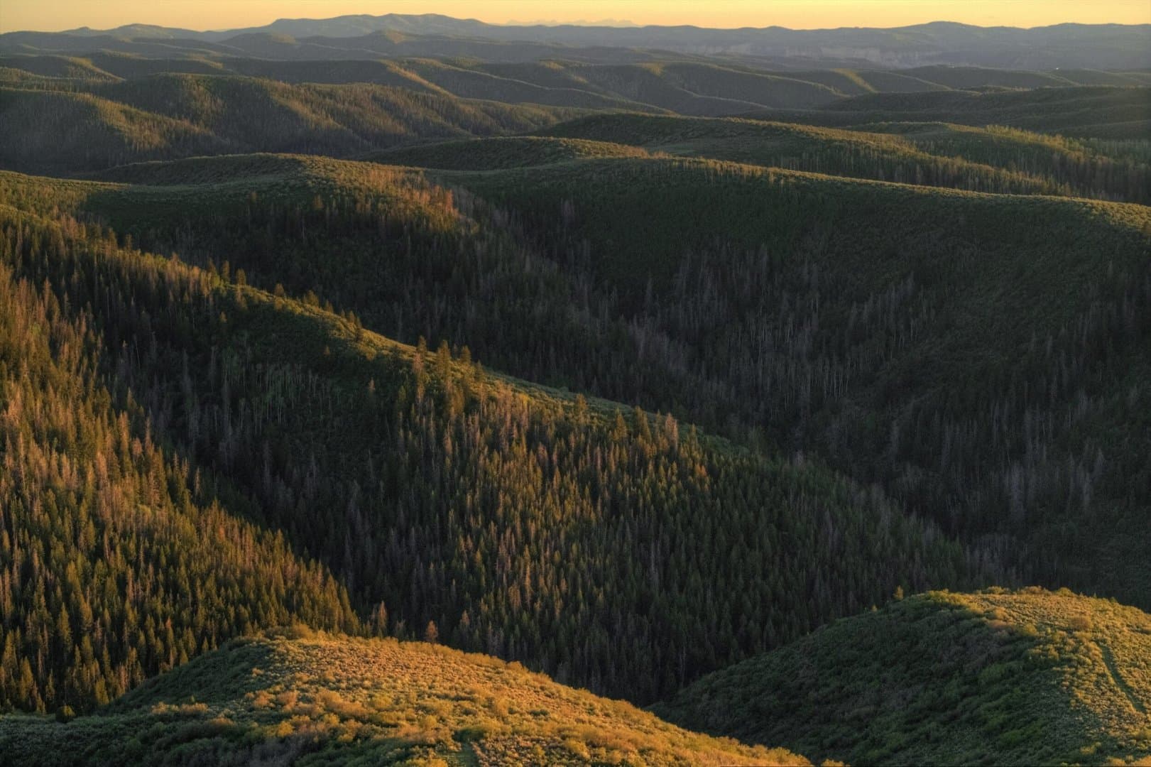 Cow Creek Ranch in Rifle, Colorado - photo 3